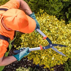Imagen para la categor&#237;a Herramientas de Jardin