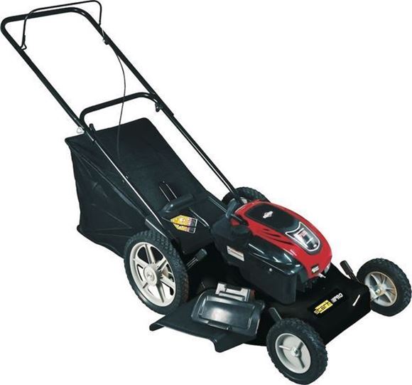 Imagen de Cortacésped pasto Stark Pro Briggs Stratton 3 en 1 c/recol -  Ynter Industrial