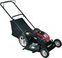 Imagen de Cortacésped pasto Stark Pro Briggs Stratton 3 en 1 c/recol -  Ynter Industrial