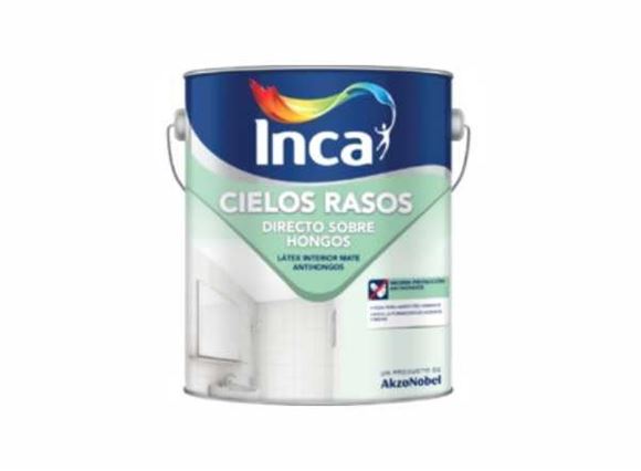 Imagen de Cielos Rasos Directo Sobre Hongos Inca 4LT - Ynter