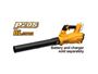 Imagen de Sopladora Brush Less 20V P20S Ingco - Ynter Industrial