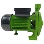 Imagen de Bomba Centrifuga de 1HP Forest y Garden - Ynter Industrial