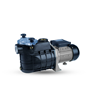 Imagen de Kit para Filtrado de Piscinas de hasta 70.000 litros: Filtro + Bomba Ballena - Ynter Industrial