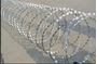 Imagen de Alambre Concertina Doble C/clip 8mts utiles-Ynter Industrial