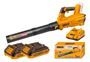 Imagen de SOPLADORA A BATERIA BRUSHLESS C/2 BAT INGCO  - Ynter