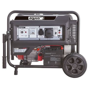 Imagen de Generador A Nafta Equus 7500W  - Ynter Industrial