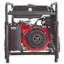 Imagen de Generador A Nafta Equus 7500W  - Ynter Industrial