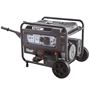 Imagen de Generador A Nafta Equus 7500W  - Ynter Industrial