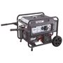 Imagen de Generador A Nafta Equus 7500W  - Ynter Industrial