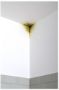Imagen de Zinsser imprimante directo sobre hongos  946ml- Ynter Industrial