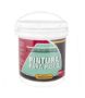 Imagen de Pintura de piso multiproposito asfalkote 4kg - Ynter Industrial