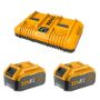 Imagen de SET X 2 BATERIAS 20V 5AMP + 1 CARGADOR INGCO - Ynter Industrial