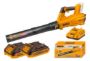 Imagen de SOPLADORA A BATERIA BRUSHLESS C/2 BAT INGCO  - Ynter